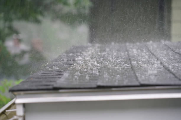 Best Asphalt Shingles Roofing  in Big Rock, IL