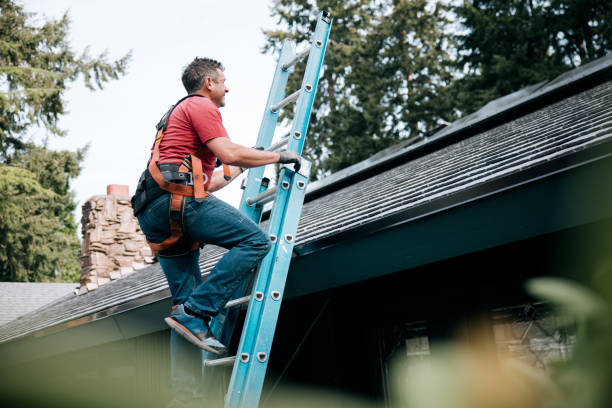 Best Rubber Roofing (EPDM, TPO)  in Big Rock, IL