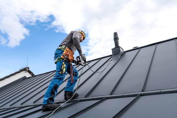 Best Roof Coating and Sealing  in Big Rock, IL